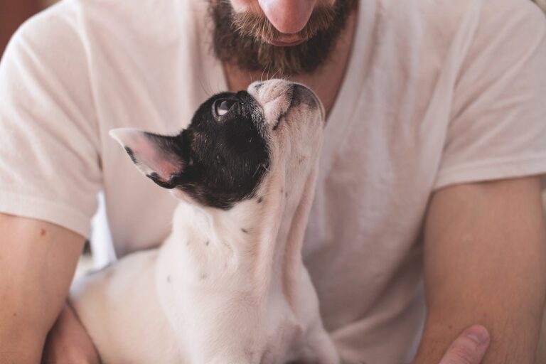 dueño perro