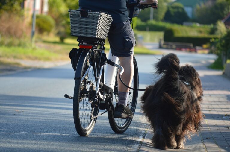 perro-bicicleta